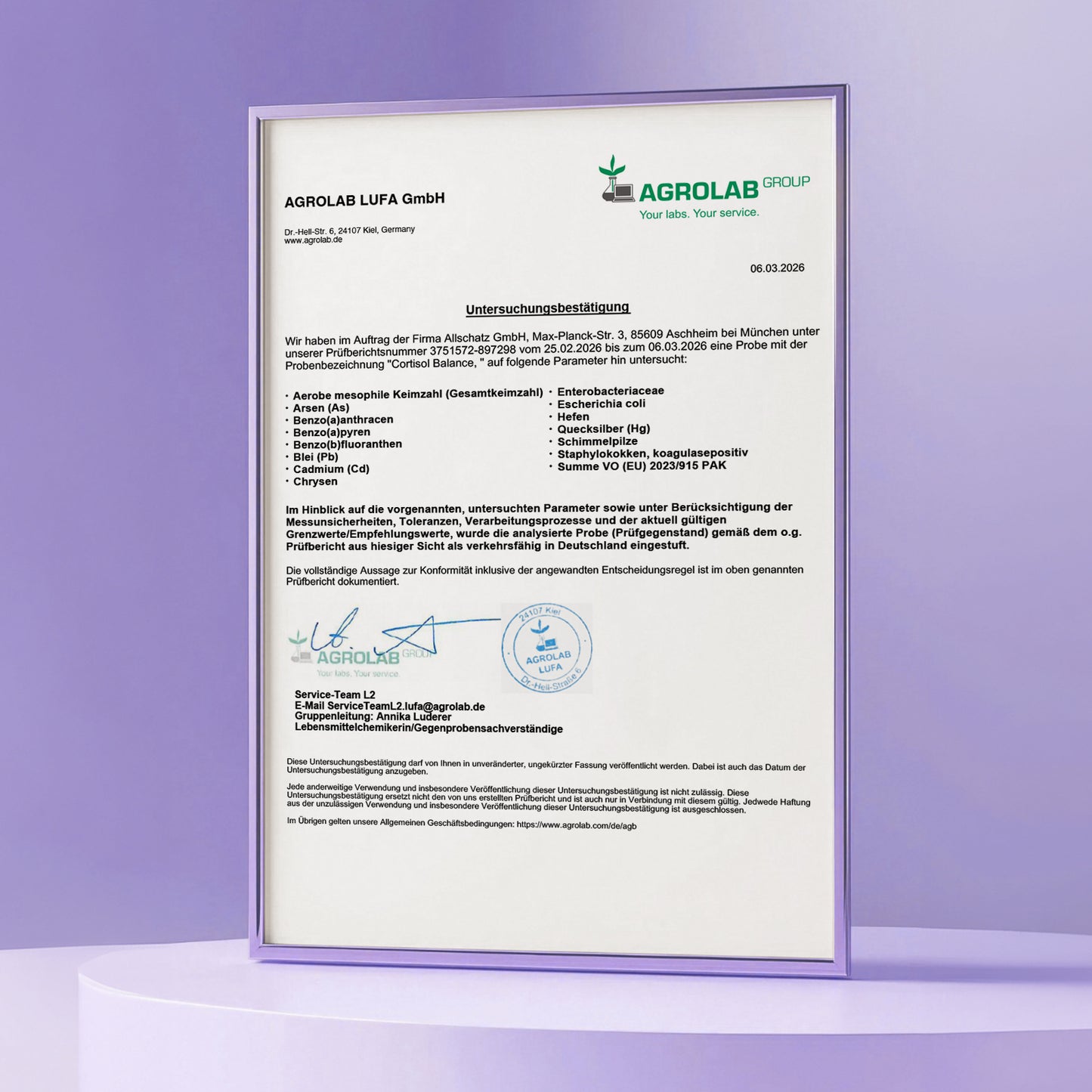 Equilibrio en lugar del estrés – día a día con ashwagandha, L-teanina, rhodiola y azafrán