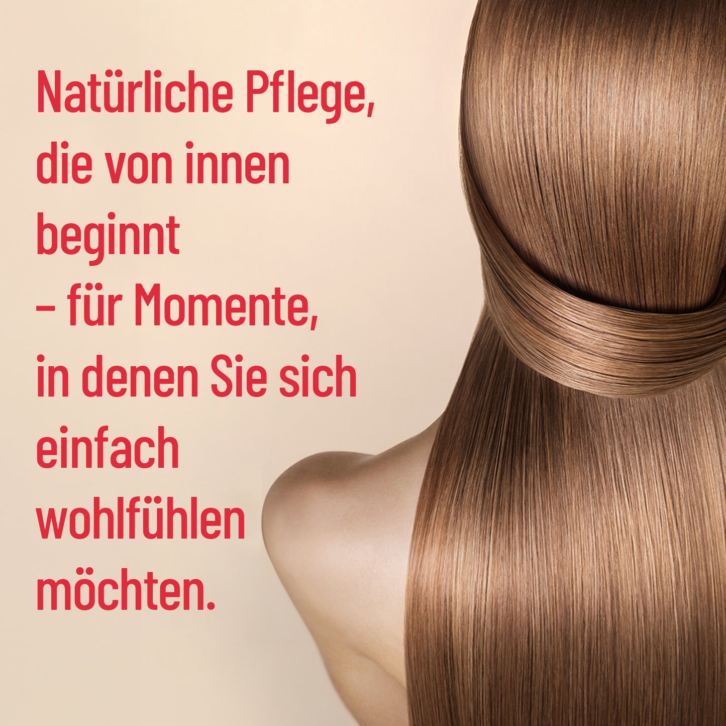 Zehnplus HAAR TRIO CARE+ gummis